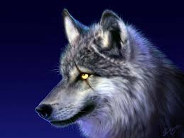 wolf5